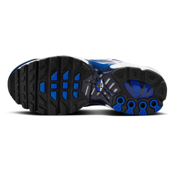Nike Air Max Plus TN (GS)